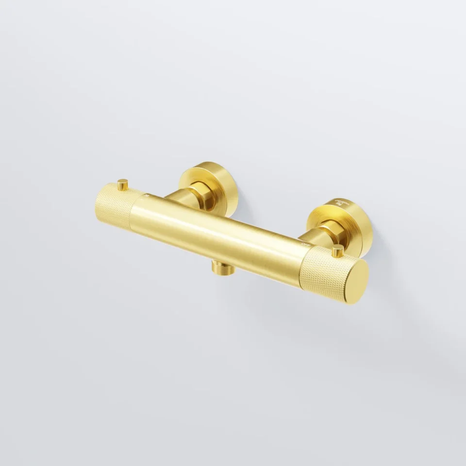 171 seeria termostaat dušisegisti