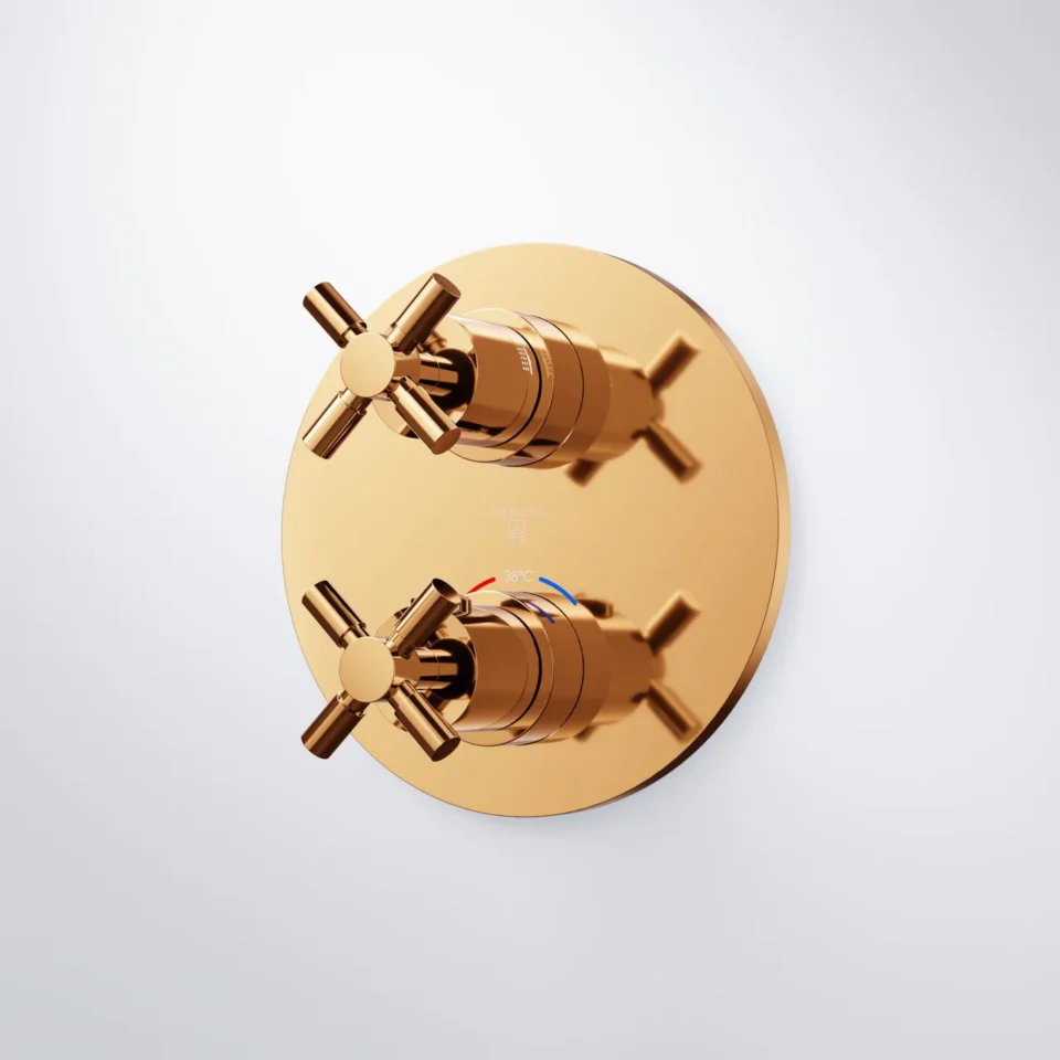 250 seeria termostaat dušisegisti, 2 väljundit